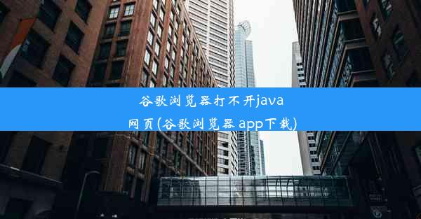 谷歌浏览器打不开java网页(谷歌浏览器 app下载)