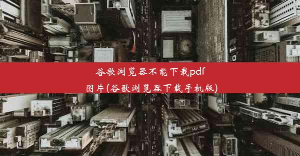 谷歌浏览器不能下载pdf图片(谷歌浏览器下载手机版)