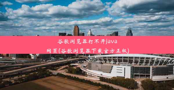 谷歌浏览器打不开java网页(谷歌浏览器下载官方正版)