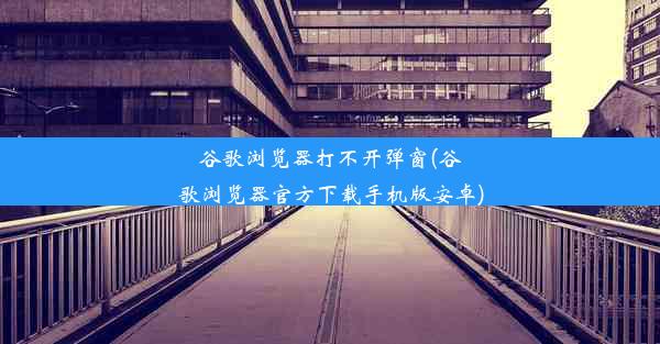 谷歌浏览器打不开弹窗(谷歌浏览器官方下载手机版安卓)