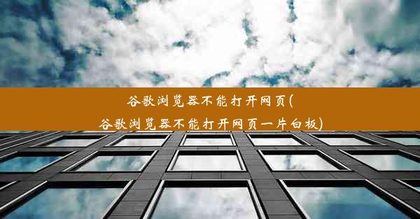 谷歌浏览器不能打开网页(谷歌浏览器不能打开网页一片白板)