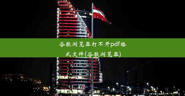 谷歌浏览器打不开pdf格式文件(谷歌浏览器)