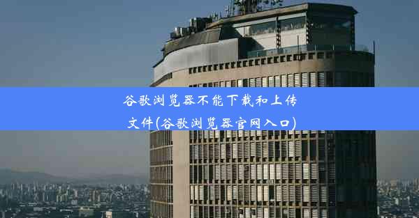 谷歌浏览器不能下载和上传文件(谷歌浏览器官网入口)