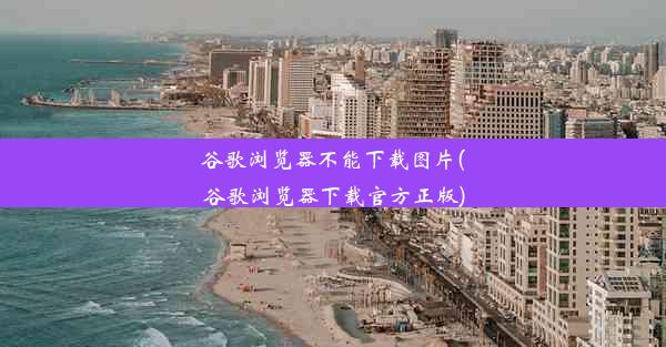 谷歌浏览器不能下载图片(谷歌浏览器下载官方正版)